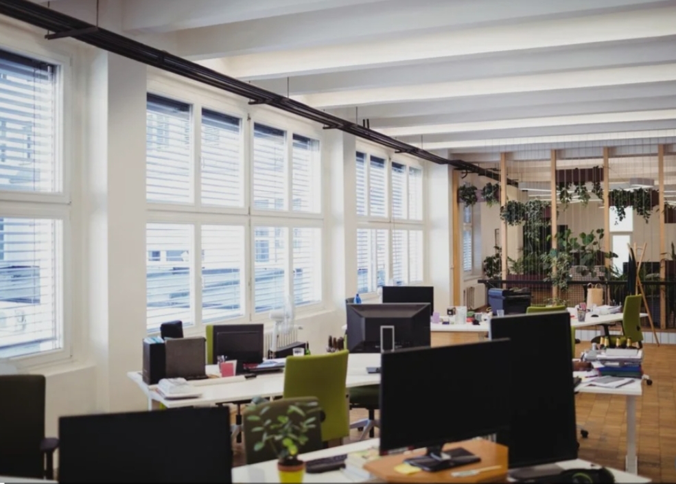 Oplus_131072 new labour